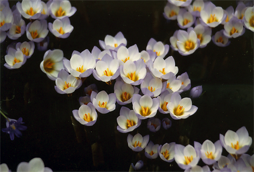 NNX@NTcXuvZX@xAgbNXv