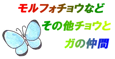 ^CgFtH`EȂǂ̑`EƃK̒