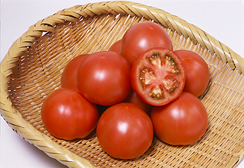 トマト いわき産トマト100％ WONDER RED95 10本ギフト【ワンダー