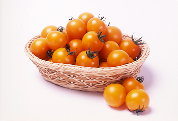 中玉トマト 「シンディーオレンジ」 ／ 株式会社サカタのタネ