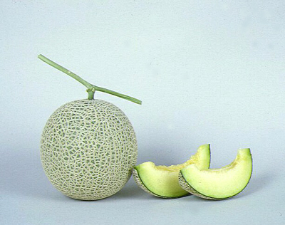 メロン 「あきみどり」 ／ 新潟県