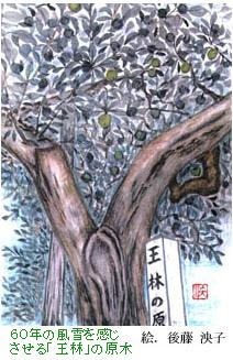 60N̕uсv̌؁@@GF㓡q