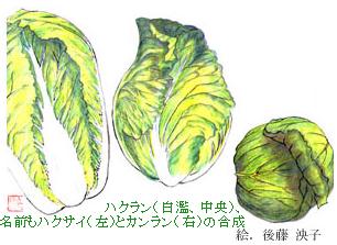 nNiAjAOnNTCijƃJiEj̍@@GF㓡q