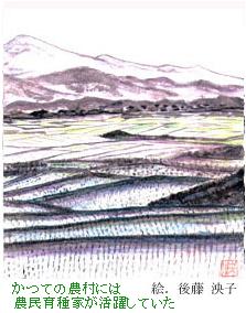 Ă̔_ɂ͔_Ƃ􂵂Ă@@GF㓡q