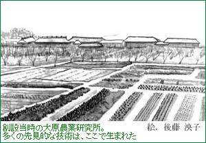 nݓ̑匴_ƌB̐挩IȋZṕAŐ܂ꂽB@@GF㓡q