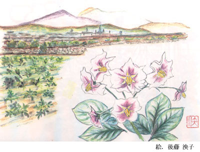 WKC̉Ԃƈ쎎n݂_x@@GF㓡q