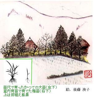 cňĂ̑cijEcňĂtciEjE͓cAi@@GF㓡q