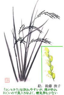 uRVqJv͓|₷Ab܂ɂ̂Ŏ͂悭A䔭肪Ȃ@@GF㓡q