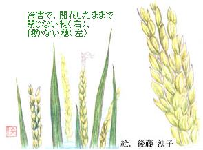 QŁAJԂ܂܂ŕȂiEjAXȂij@@GF㓡q