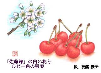 uсv̔Ԃƃr[F̉ʎ@@GF㓡q