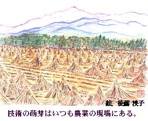 Zp̖G͂_Ƃ̌ɂ@@GF㓡q