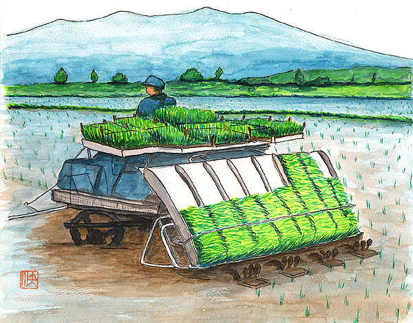 高速乗用田植機を開発 続 日本の 農 を拓いた先人たち 公益社団法人農林水産 食品産業技術振興協会