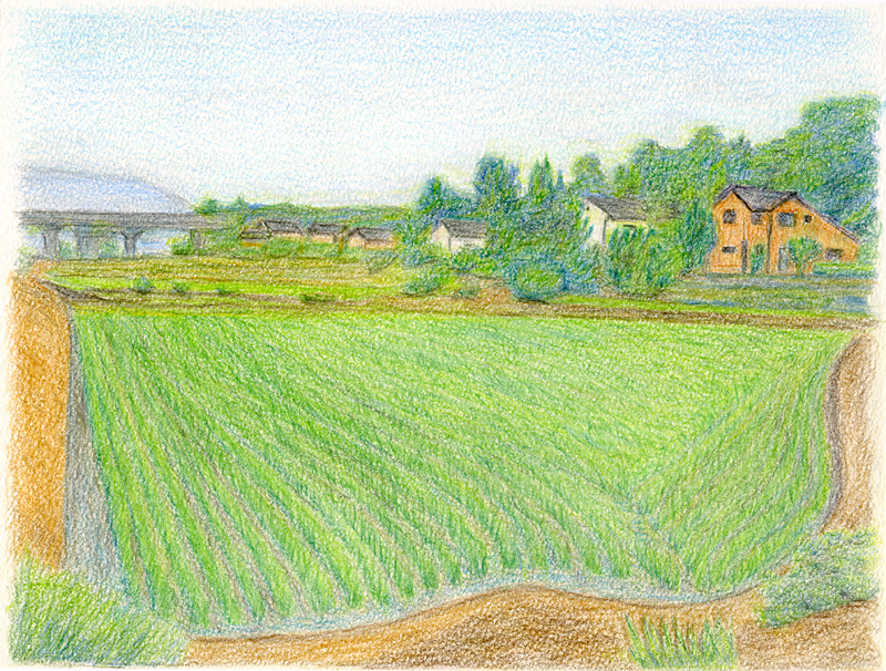 米作日本一 農家が教えてくれた水のかけひき ２ 新 日本の 農 を拓いた先人たち 公益社団法人農林水産 食品産業技術振興協会