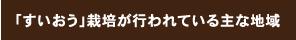 「すいおう」栽培が行われている主な地域