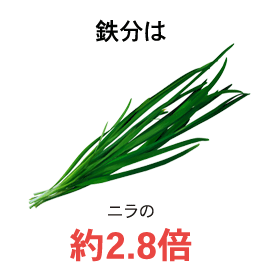 鉄分はニラの約2.8倍
